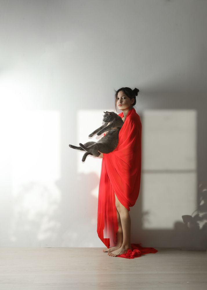 Любить котов