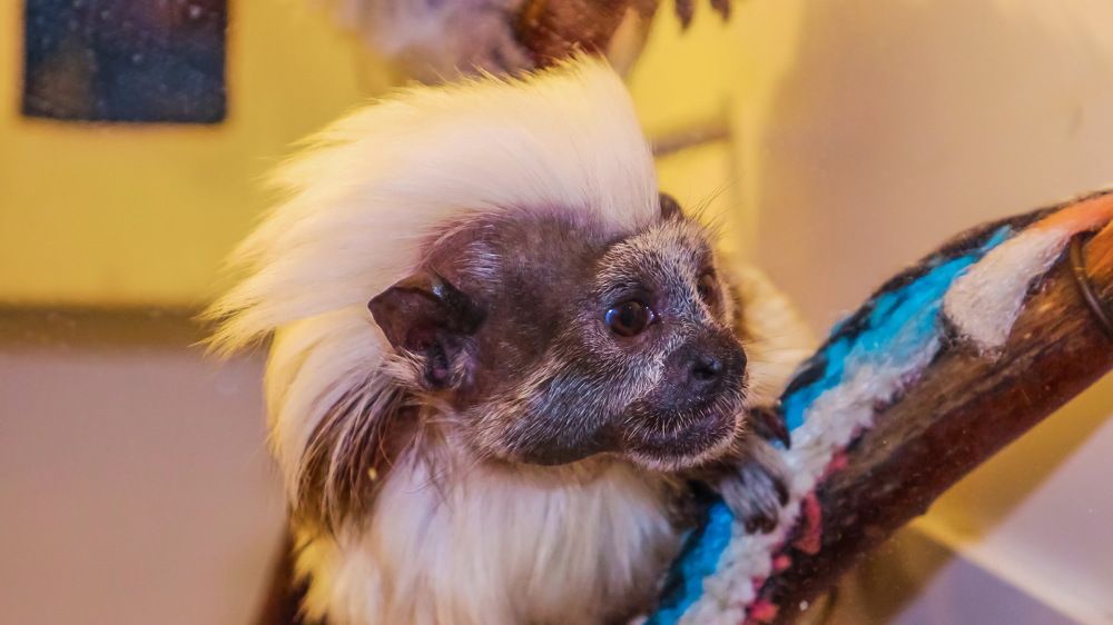Photo #11706316