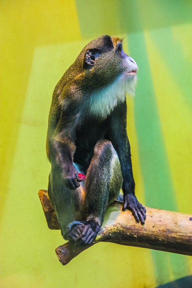 Photograph by Станислав Созонов