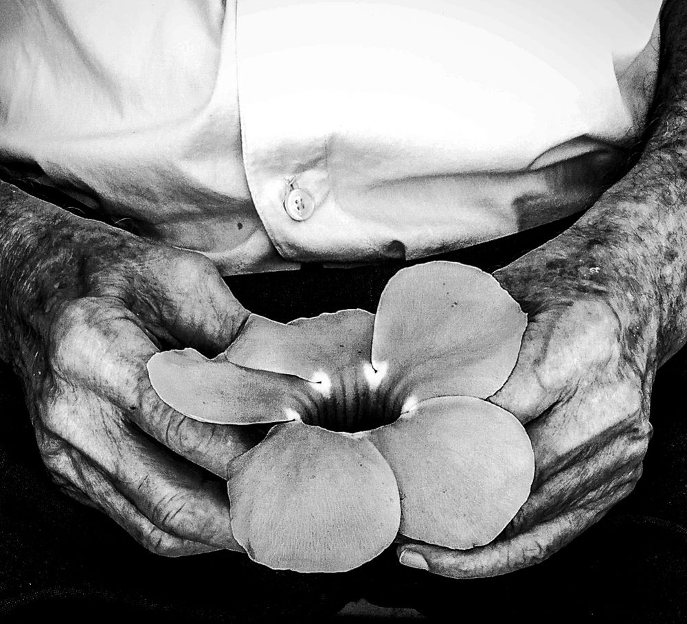 Fragilidade e força