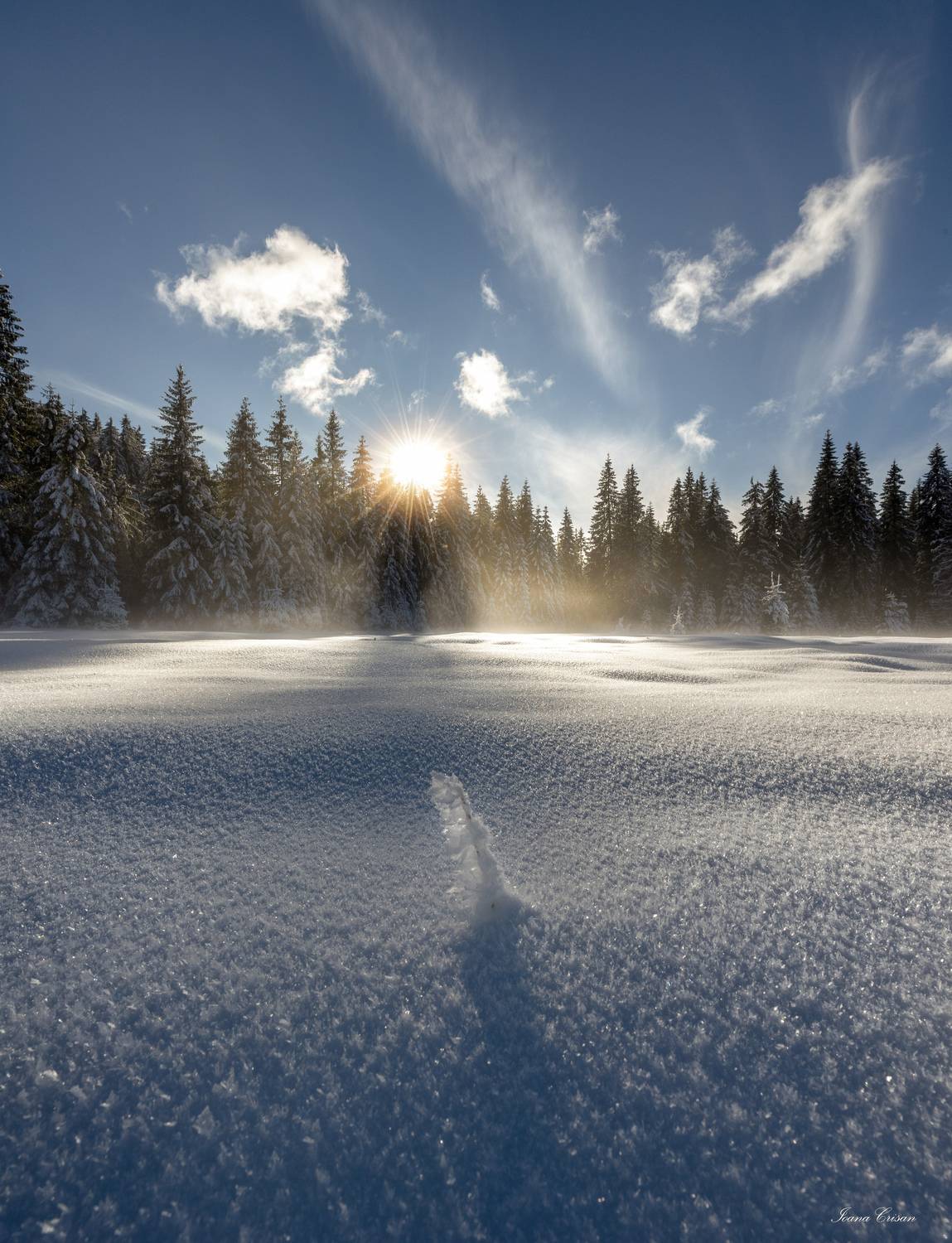 Фотография #11706371