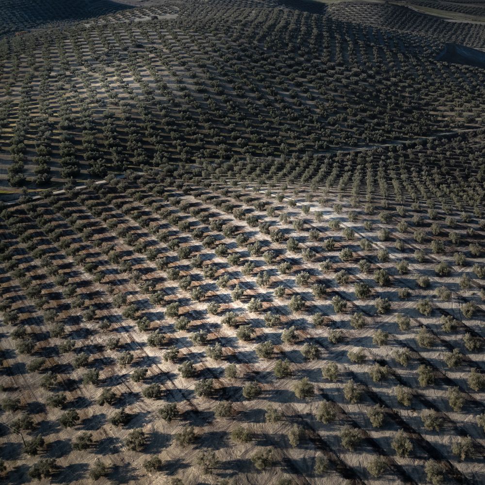 Photograph by Игорь Зуйков