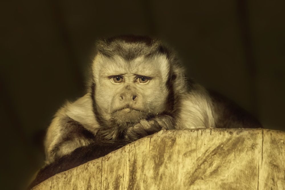 Photograph by Клясюк Галина