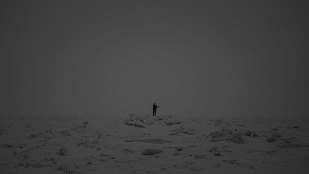 Photo #11706503