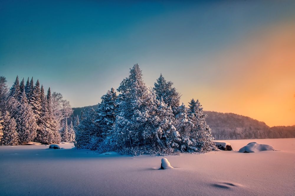 Morning after the Storm