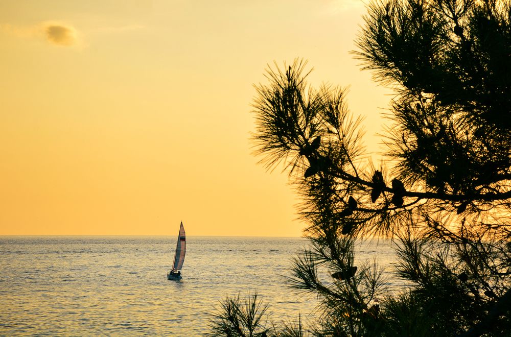 Photograph by Inna Ivanova