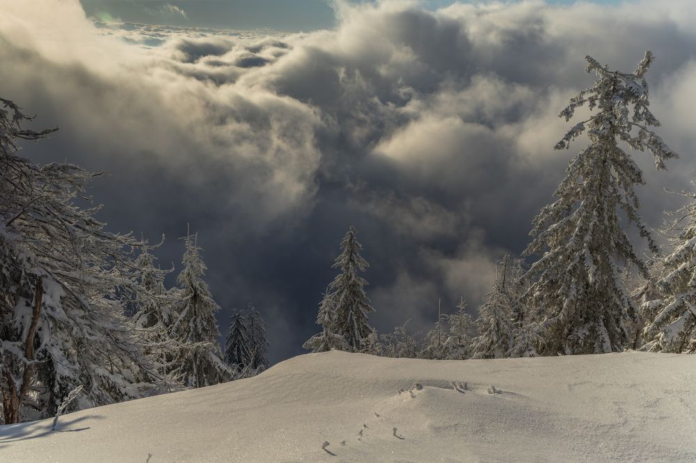 Photograph by George Alexandru Ghiuro