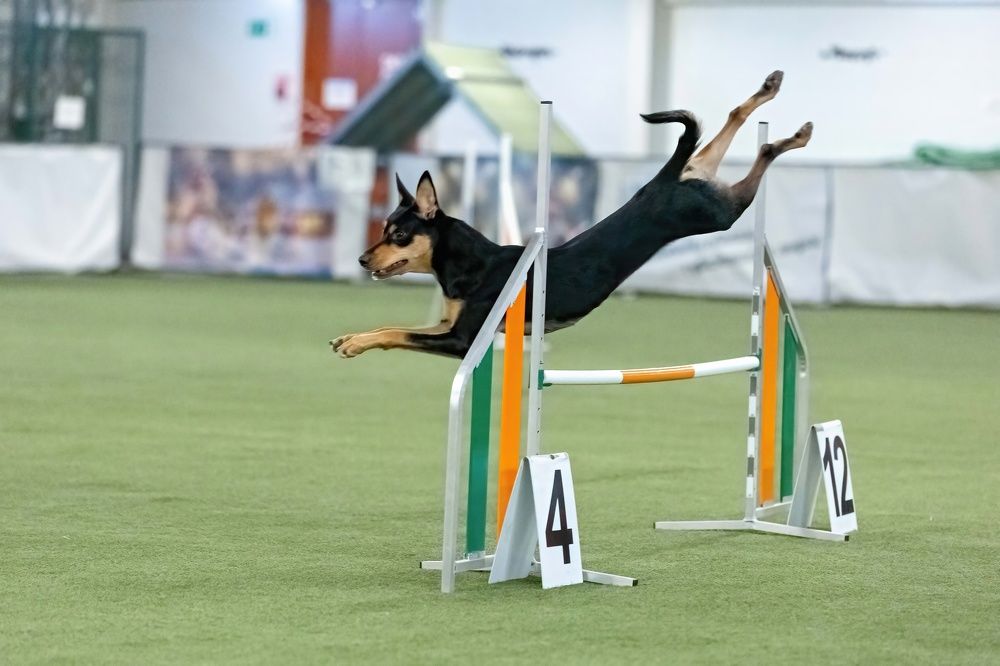 Photograph by Ольга