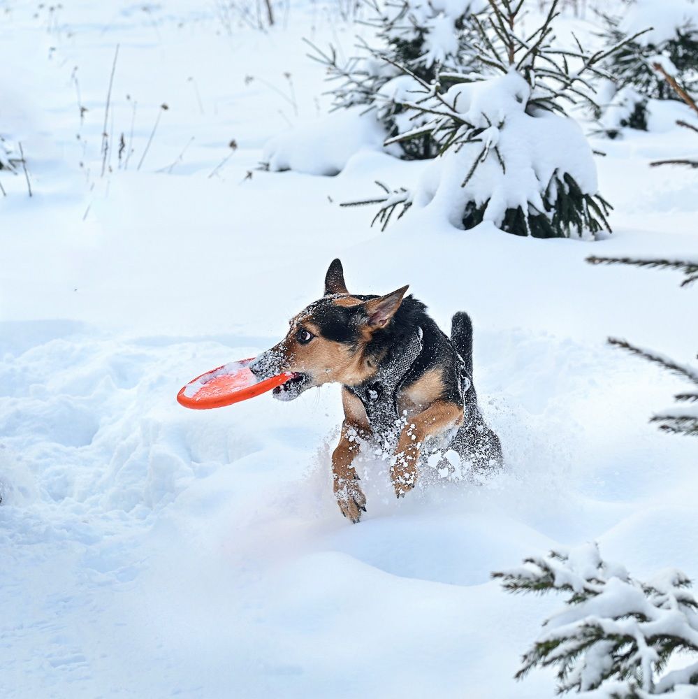 Photograph by Жанна Агафонова