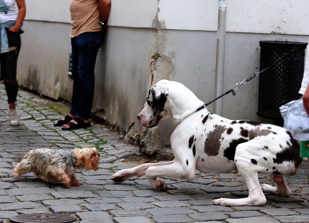 Photograph by Vladislav Kaplun