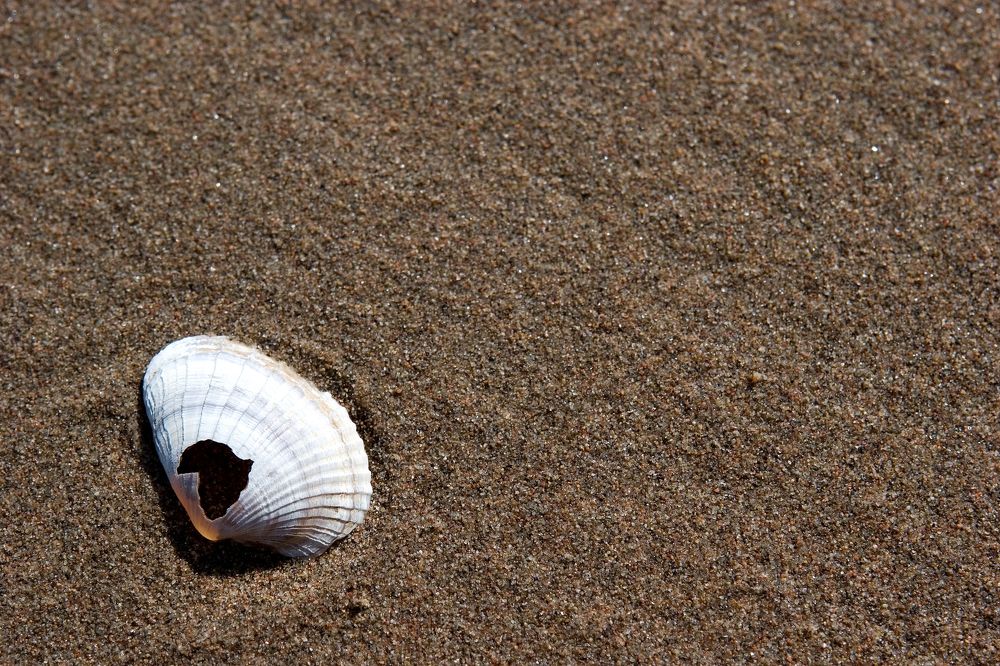 Photograph by Алексей Вяткин