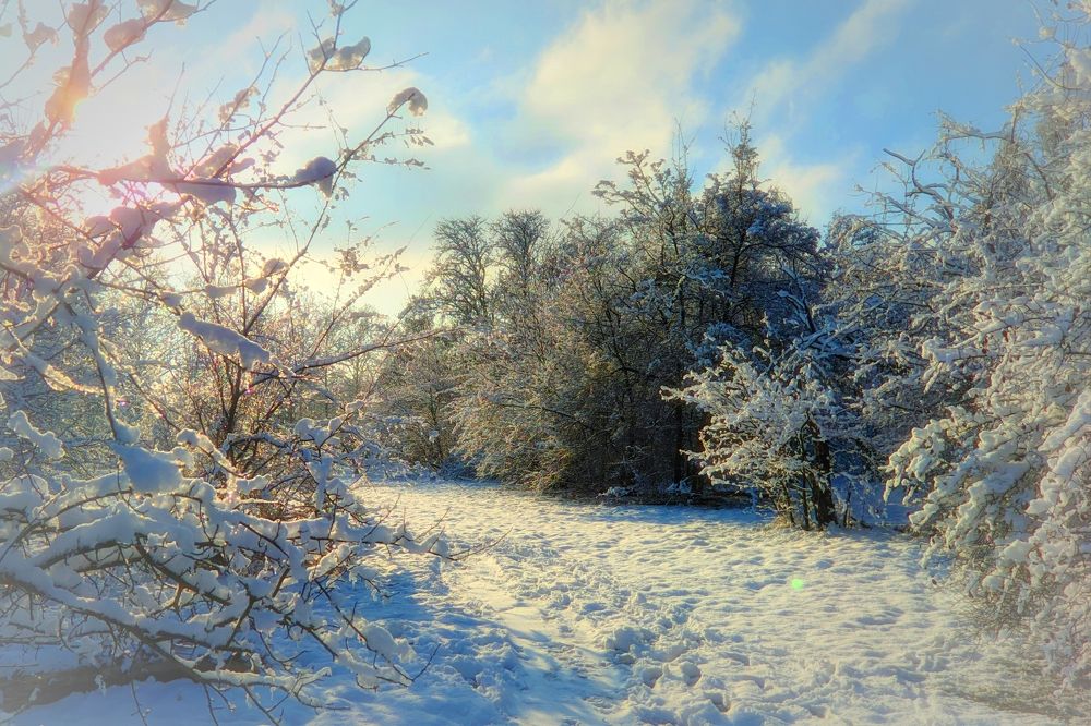 Фотография автора Андрей Павловский