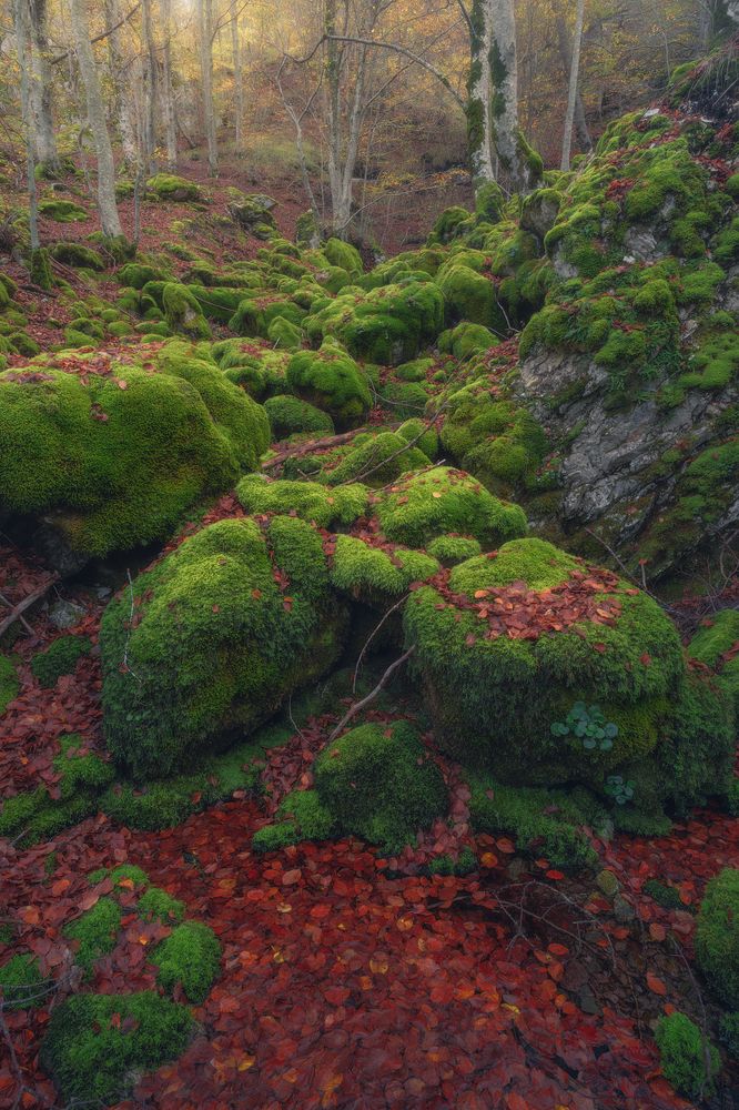 Photograph by Domenico Marrano