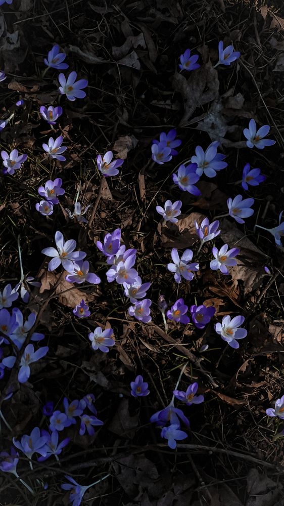 Photograph by Arina Abashkina