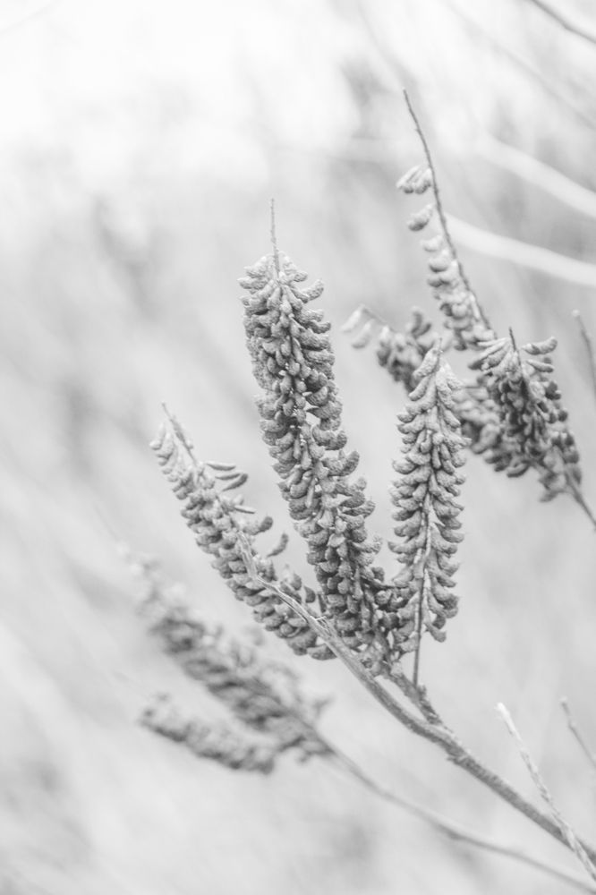 Photograph by Никита Коробейников