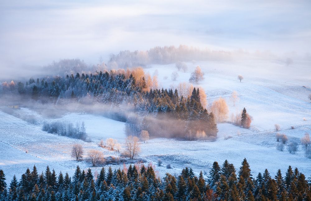 Photograph by Mirosław Pruchnicki