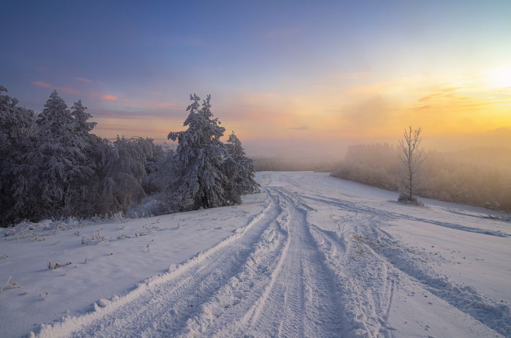 Photograph by Mirosław Pruchnicki