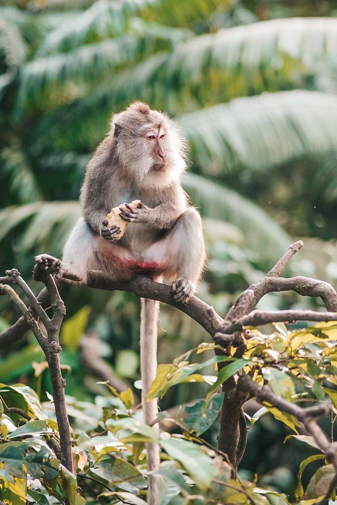 Photograph by Amir MIMART