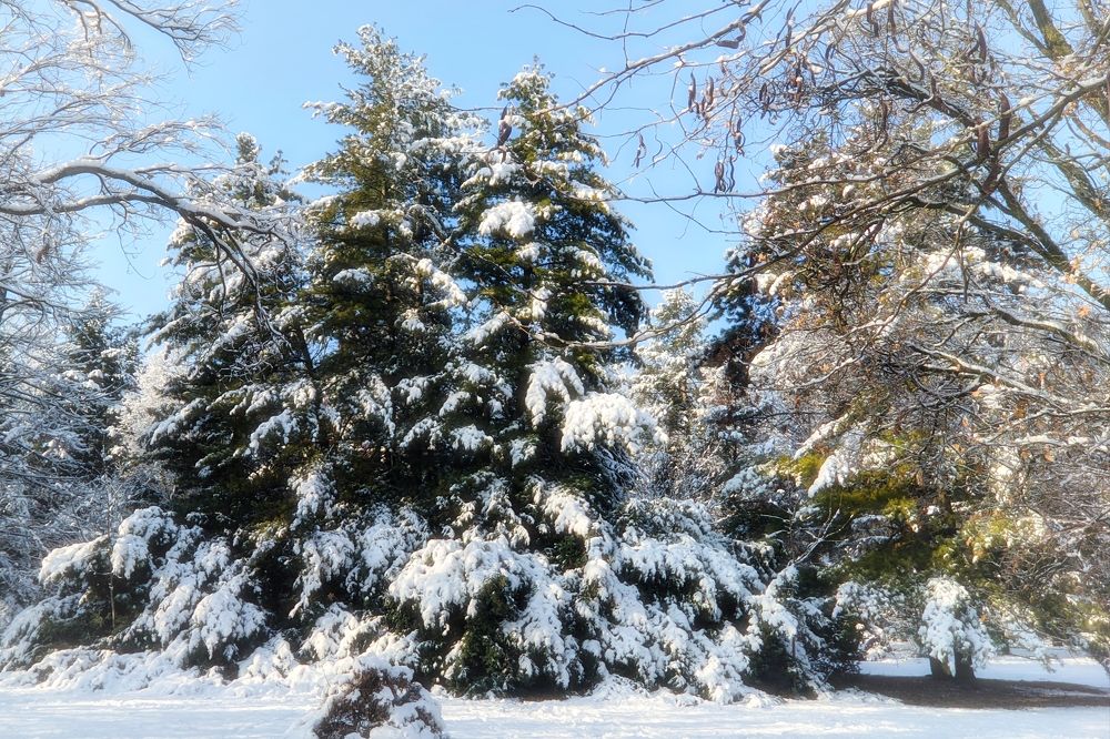 Фотография автора Андрей Павловский