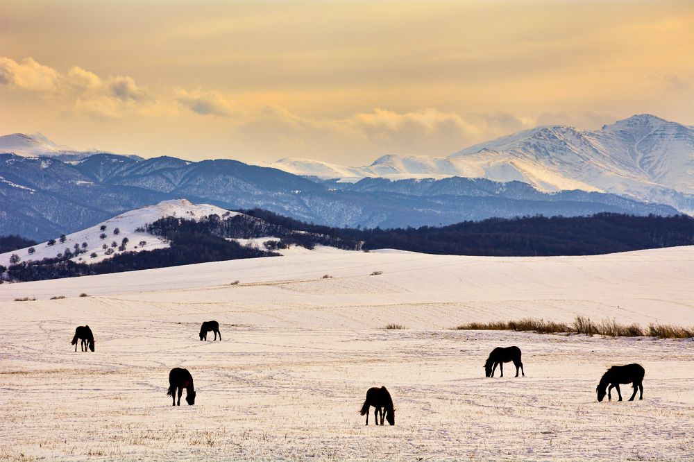Photograph by Inna Ivanova