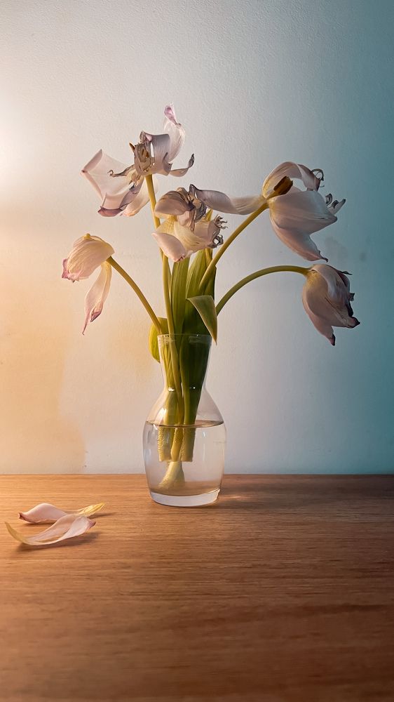 Photograph by Arina Abashkina