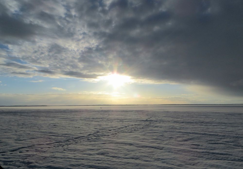 Photo #11706713