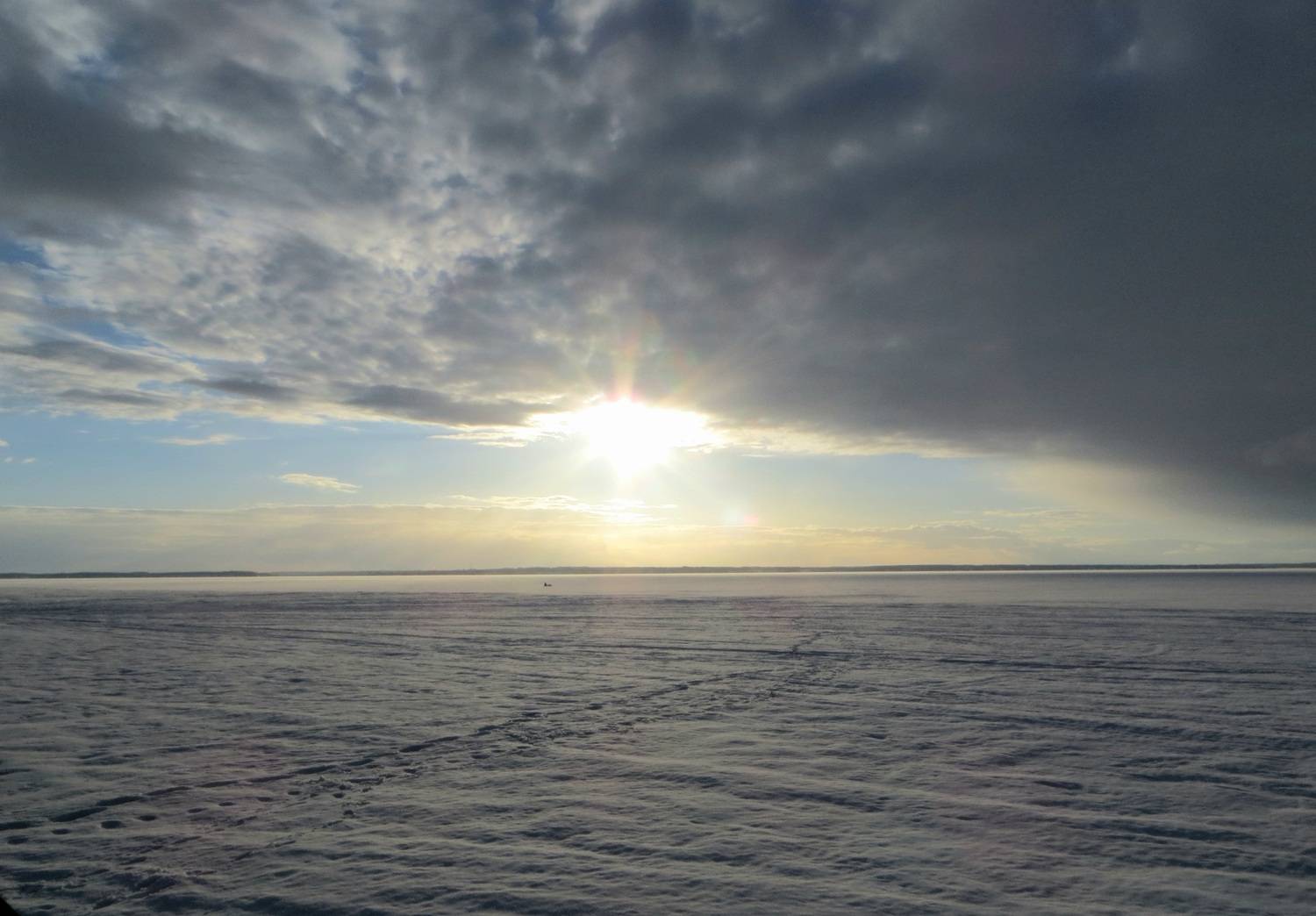 Photo #11706713