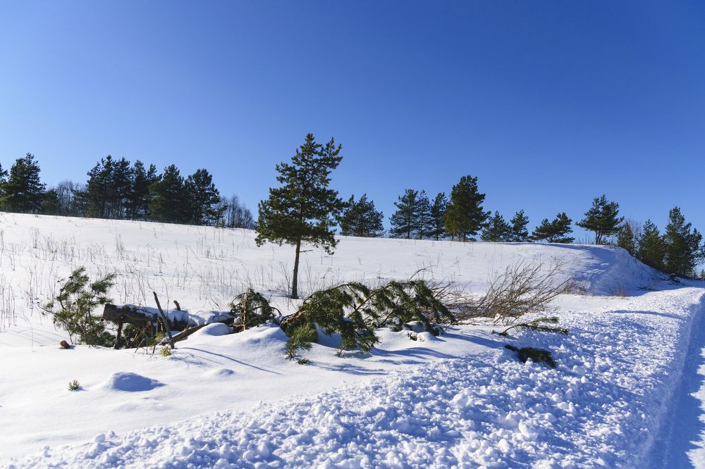 Photograph by Лилия Кондратьева