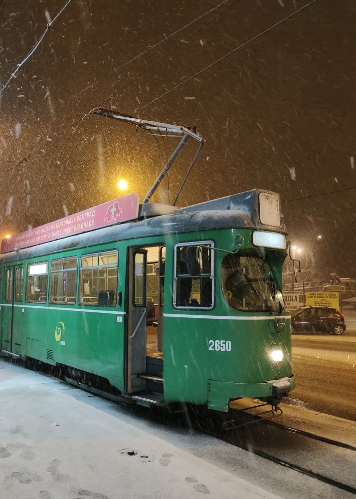Photograph by Mikhail Krasilnikov