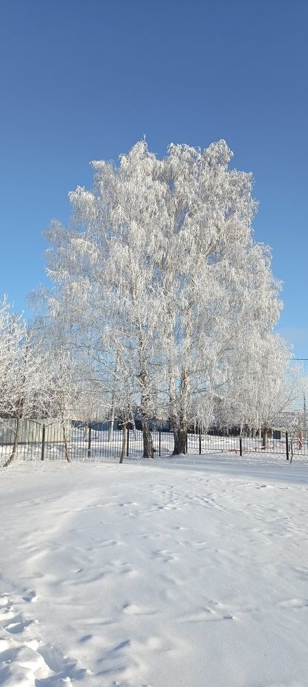 Photo #11706729