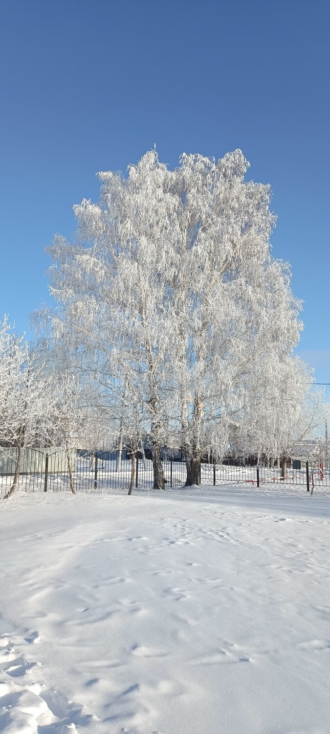 Photo #11706729