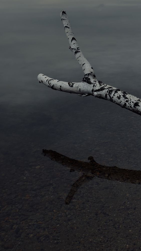 Фотография автора Алексей Колчин