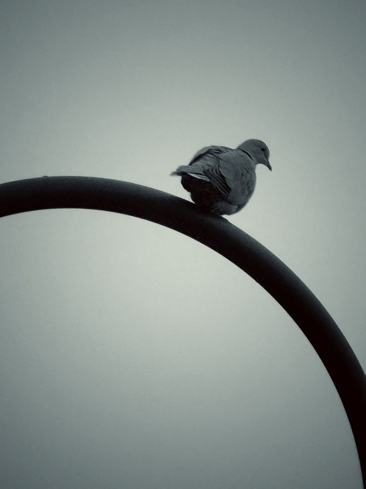 Photograph by daria eipert