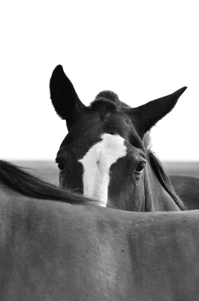 Фотография автора Cecilia Ducrey