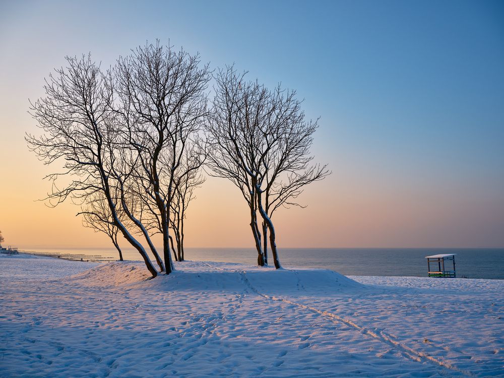 Photograph by Леонид Якутин