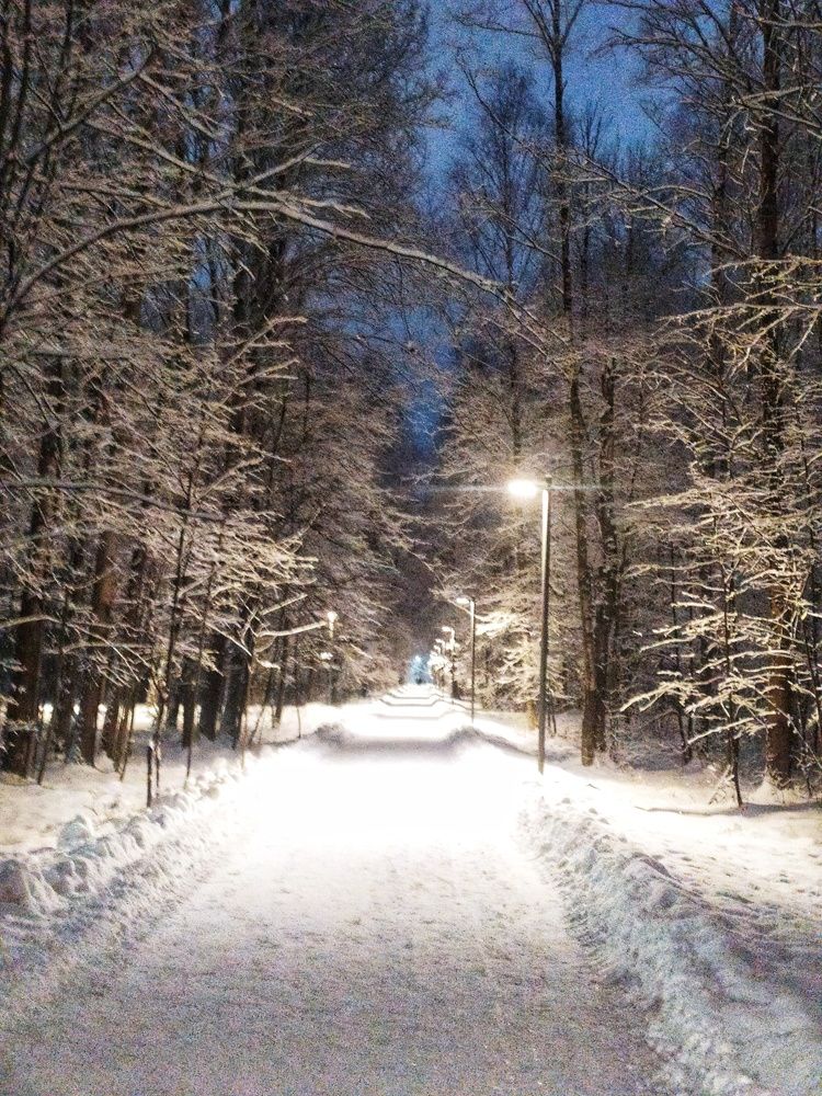 Photograph by Любовь Сухова