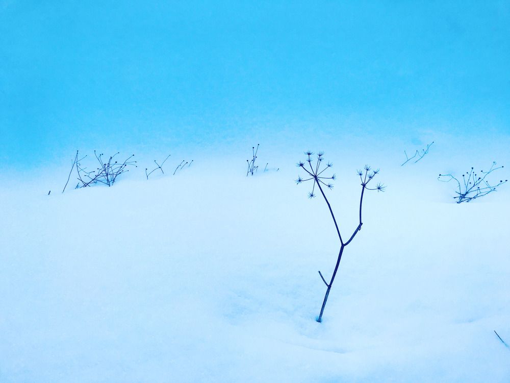 Photograph by Галина Сероштан