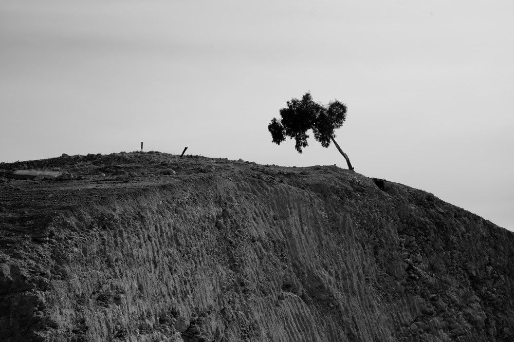 Photograph by Vladimir liametz