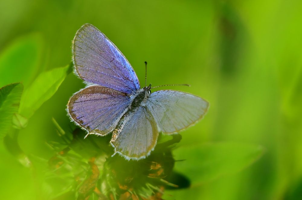 Photograph by Николай Абакумов