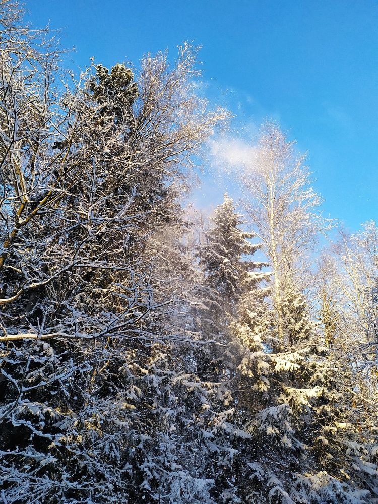 Photograph by Любовь Сухова