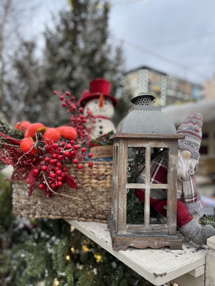 Натюрморт зимний