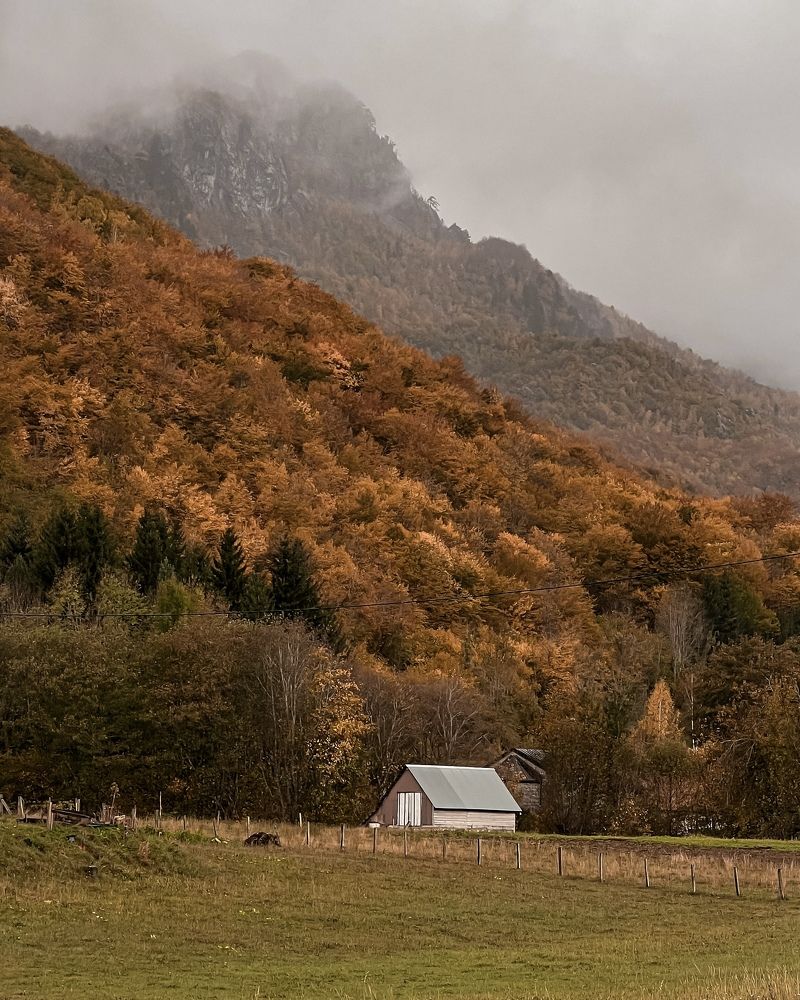 Photograph by Арина Абашкина