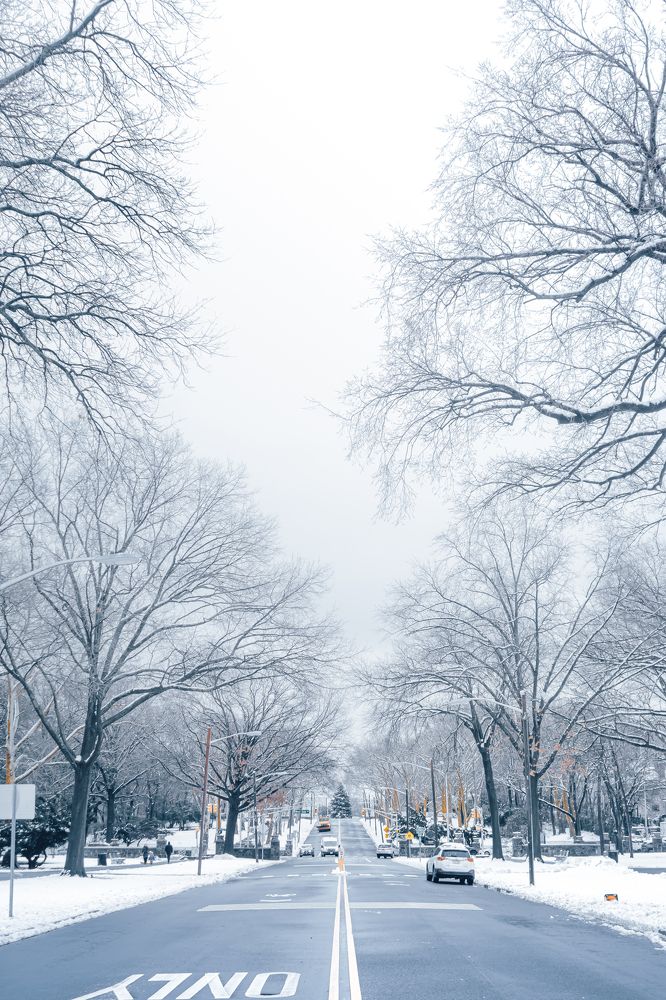 Photograph by Achintya Adhikari