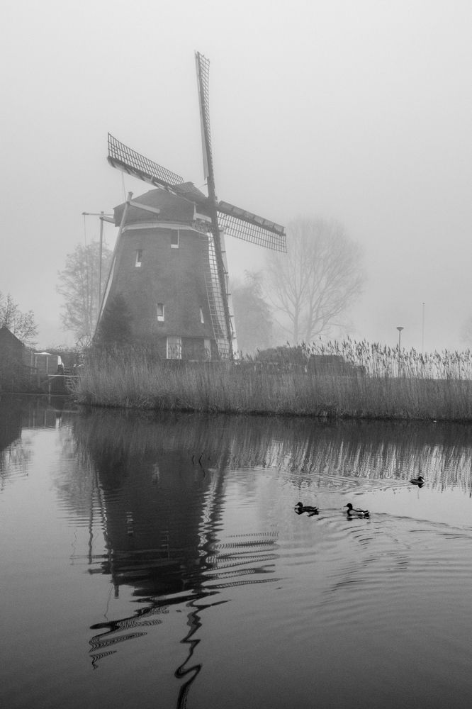 Фотография автора Julia