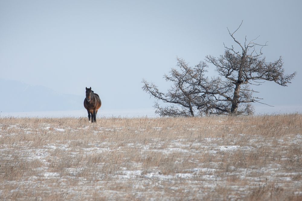 Photograph by Елена Станькова