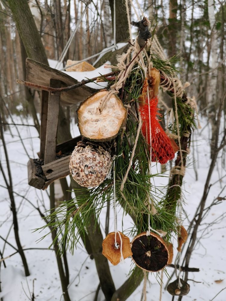 Photograph by Калинина Анастасия