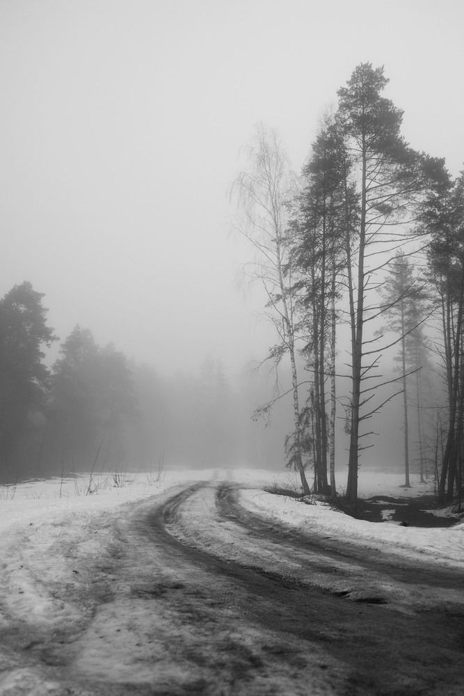 Photograph by Ольга Лобачёва