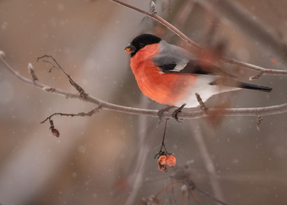 Photograph by Тамара Вотинцева