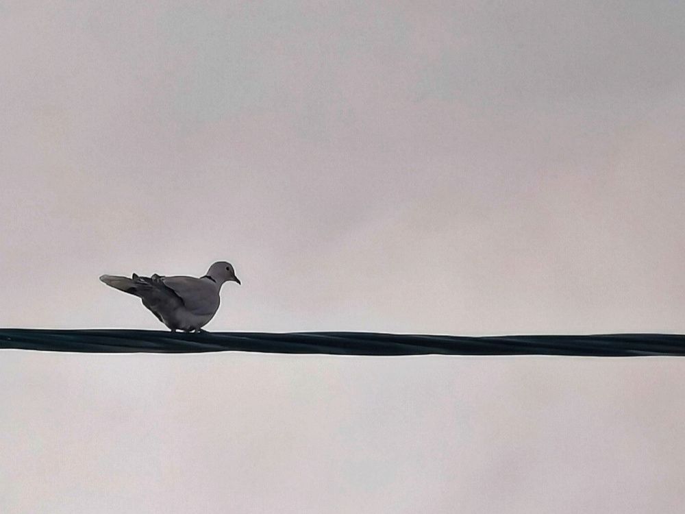 Photograph by Azzeddine Memmou