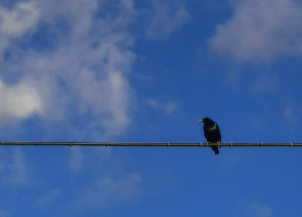 Photograph by Azzeddine Memmou